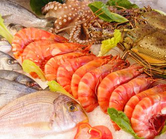 Pescados Acuicultura Nacional: Productos y Servicios de Pescados y Mariscos Ainhoa
