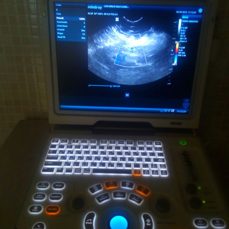 Radiología y ecografías: Servicios veterinarios de Clínica Veterinaria Parque de los Estados