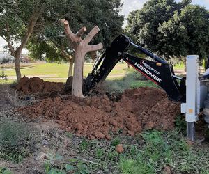 Mantenimiento jardines