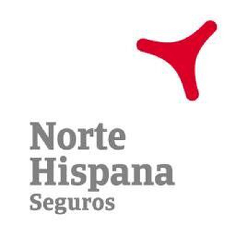 Norte Hispana Seguros Baja laboral: Servicios de Pons & Gómez Corredoria d'Assegurances