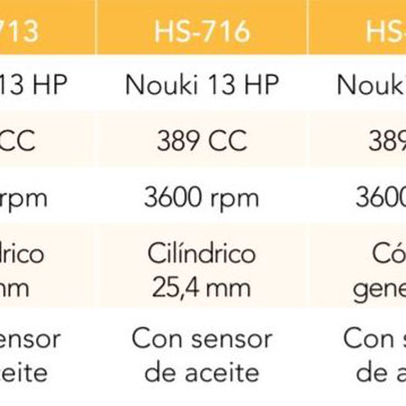MOTOR (TIPO HONDA)389 CC 3600 RPM 13 HP EJE CILINDRICO 25.4 MM Cód. HS-716: Productos y servicios de Maquiagri