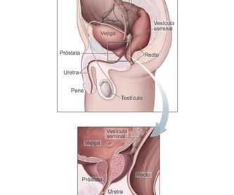 Urología de la mujer: Especialidad de FRANCISCO CRESPI MARTÍNEZ