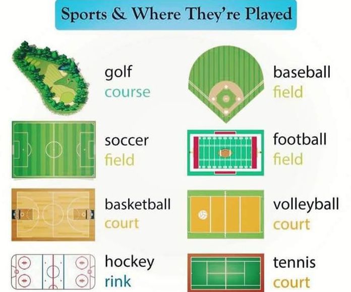 Sports & where they are played