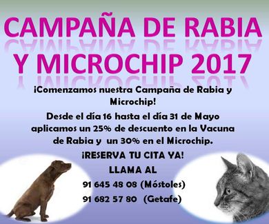 Campaña de Vacación de la Rabia canina y felina y el Microchip
