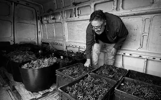 Imagen 6 de la galería