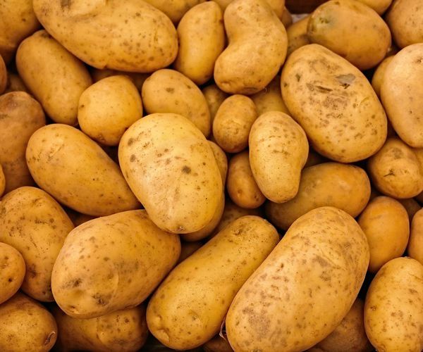 Mayorista de patatas en el País Vasco