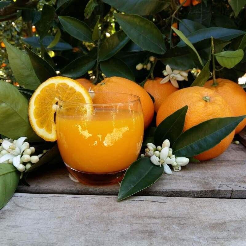 Naranjas de zumo pequeño 20kg: Productos de Naranjas Julián