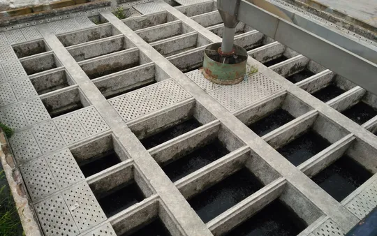 Imagen 7 de la galería