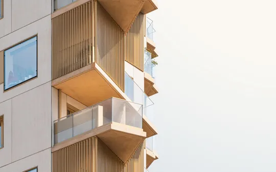 Imagen 5 de la galería