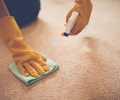Oferta con la limpieza de alfombras