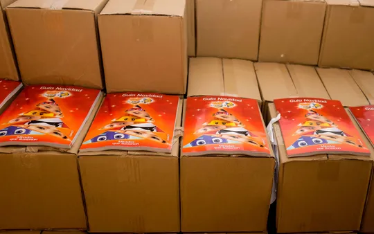 Buzoneo controlado en Palma de Mallorca