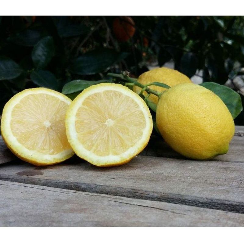 Limones 1 kg: Productos de Naranjas Julián