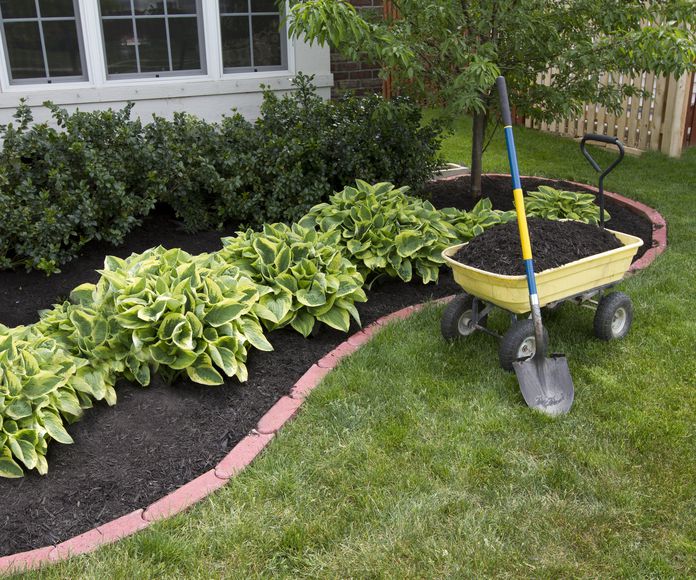 Servicios de jardinería y mantenimiento: Servicios de Nacelim servicios y mantenimientos