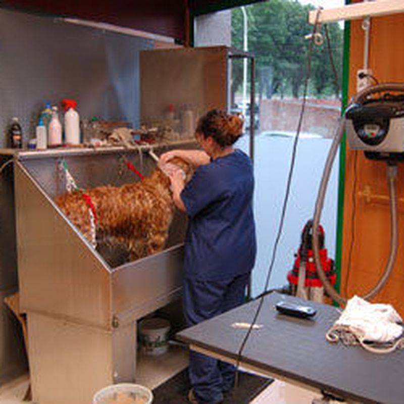Peluquería canina: Productos y servicios  de C.Vet.Mon Animal Berga