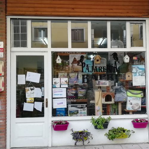 Venta de animales en Guipúzcoa