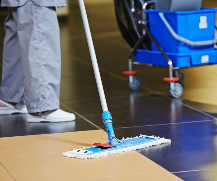 Limpiezas de mantenimiento: Servicios de Limpiezas Argia