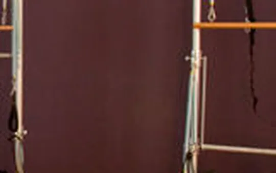 Servicio para empresas