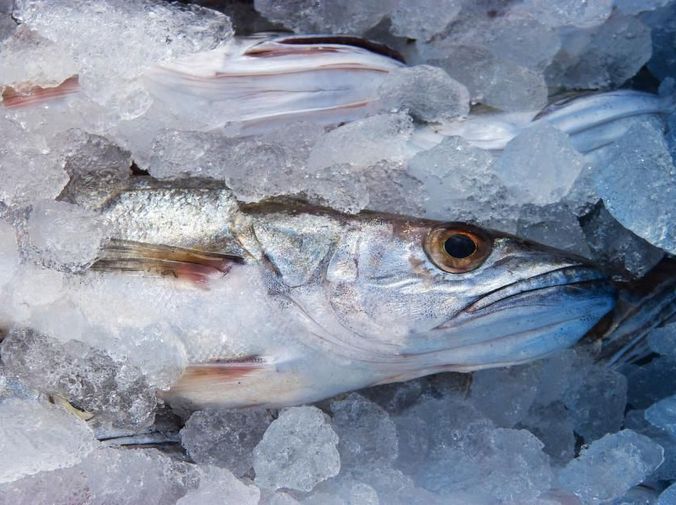 Pescado congelado: Servicios de Pescaderia El Gourmet Del Mar