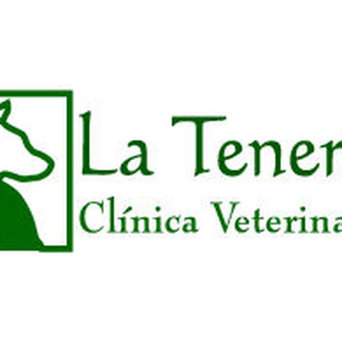Veterinarios en Pinto | La Tenería Clínica Veterinaria