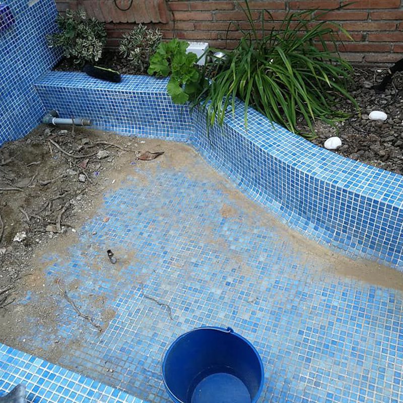 Mantenimiento de piscinas: Servicios de Eloy Jardinería