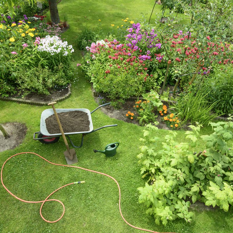 Mantenimiento de jardines: Servicios de Grupo Cánovas Jardinería
