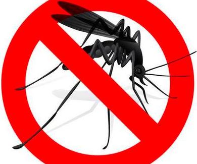 Stop mosquitos, tipos de mosquiteras.