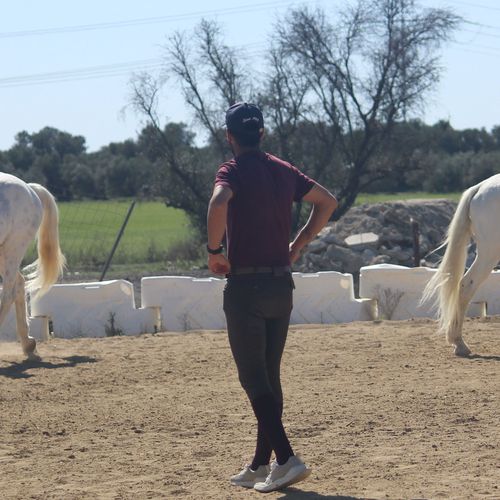 Doma de caballos en Griñón | Fran Arenas Doma Clásica