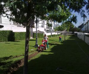 Mantenimiento de jardines en Madrid