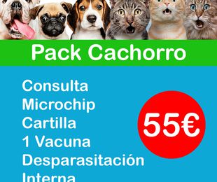 Pack cachorros (perros y gatos)