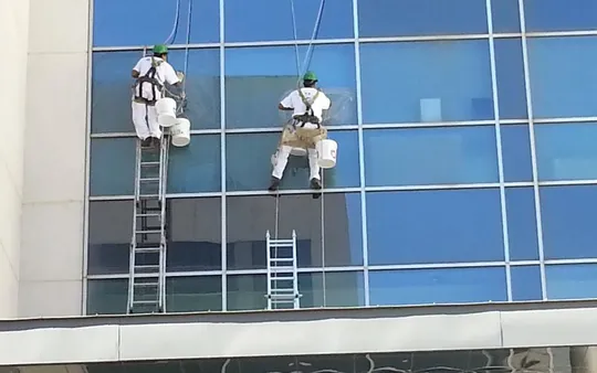 Imagen 6 de la galería