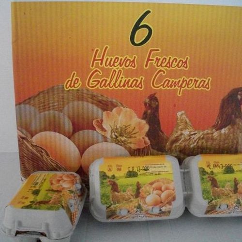 Distribución de huevo líquido en Almería | Huevos Cañavate