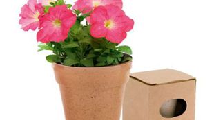 Imagen de Catálogo - Casa y hogar