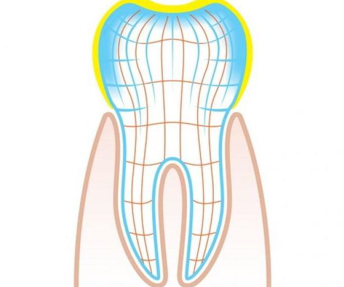 Prótesis dentales: Servicios de Clínica Dental Gregori Lloria