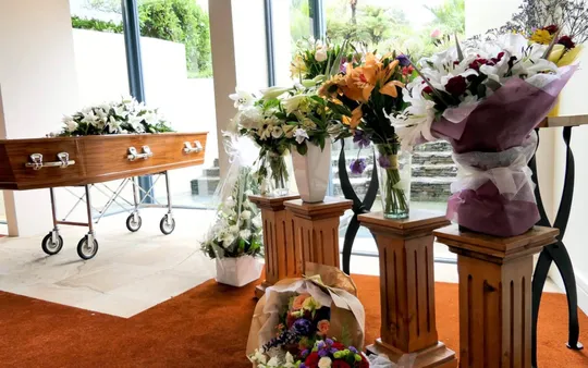 Imagen 4 de la galería