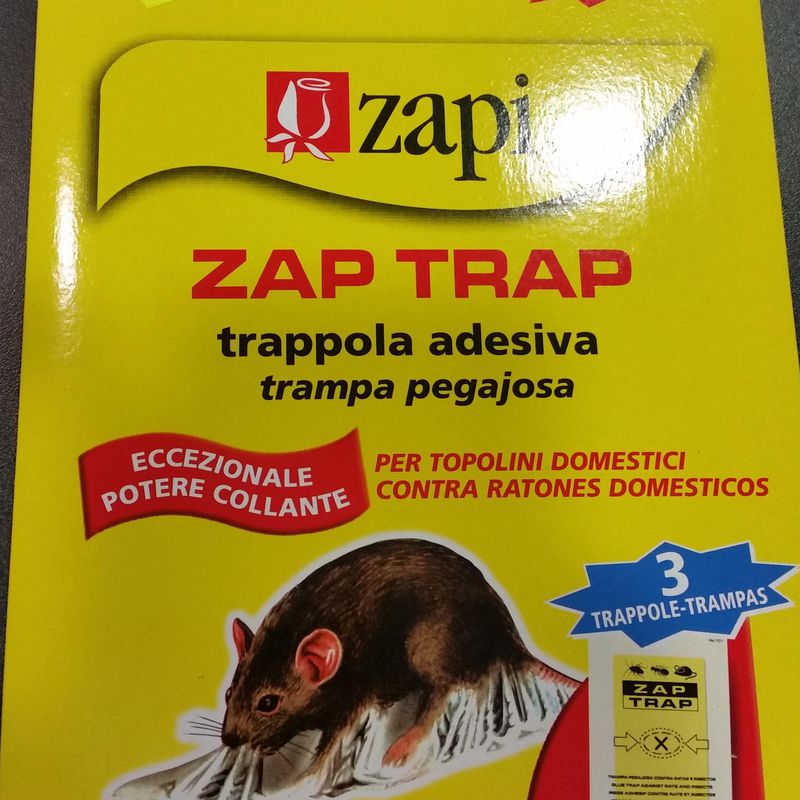 Zapi Contra ratones domesticos: SERVICIOS  Y PRODUCTOS de Neteges Louzado, S.L.