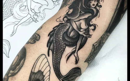 Imagen 5 de la galería