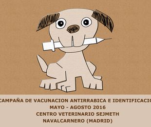 CAMPAÑA DE VACUNACION ANTIRRABICA E IDENTIFICACION 2016 EN NAVALCARNERO