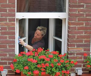Pequeños trucos para la limpieza de ventanas