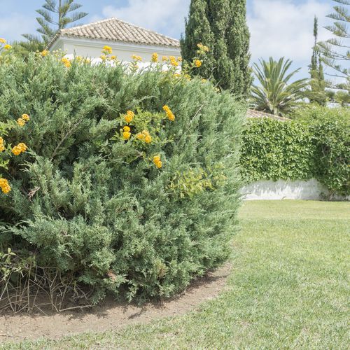 Mantenimiento de jardines de urbanizaciones en Chiclana de la Frontera