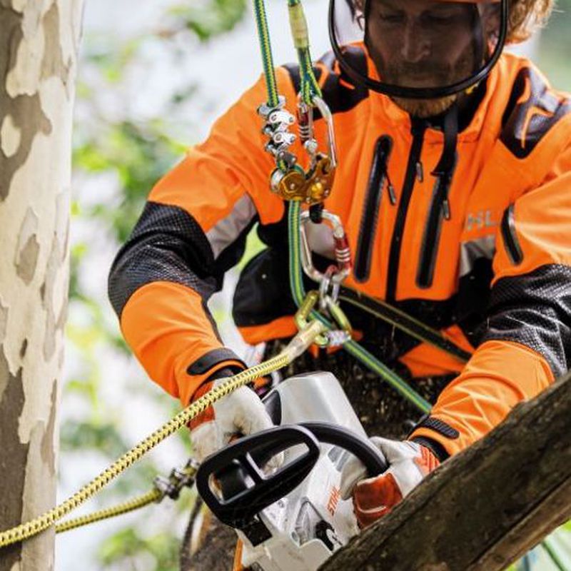 Material de arborismo y seguridad: Productos y servicios de Maquiagri