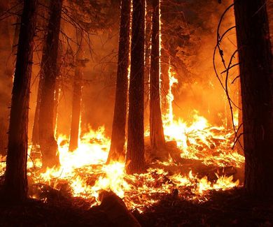 Los pirómanos no son la causa de los grandes incendios forestales