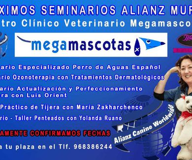 Proximos seminarios de ALIANZ WORLWIDE en Murcia