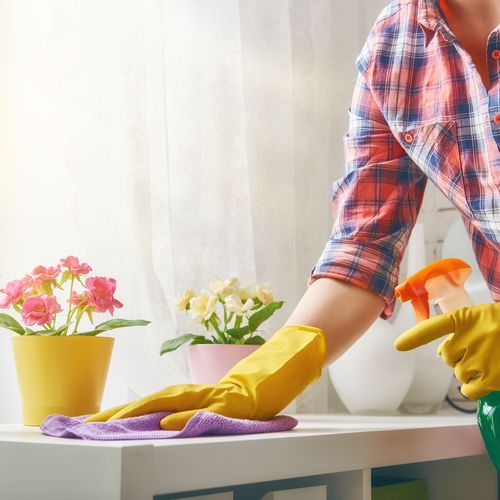 La limpieza óptima de tu hogar