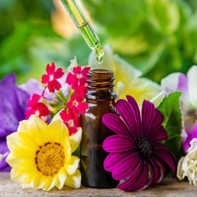 Aromaterapia: historia y olores