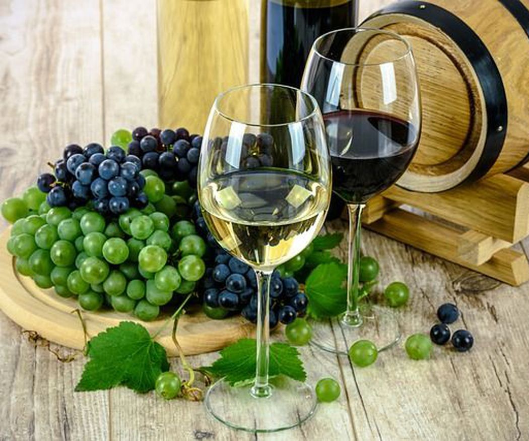 ¿Qué tipos de uvas se utilizan para el vino?