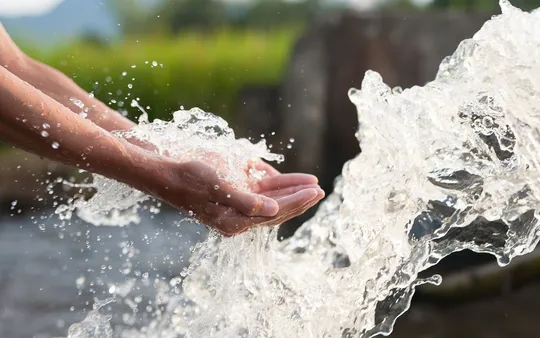 Imagen 4 de la galería