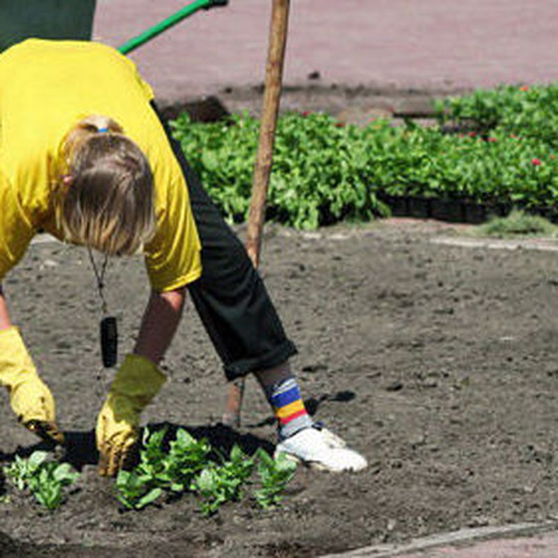 Mantenimiento de jardines: Servicios de Tinko Garbiketak