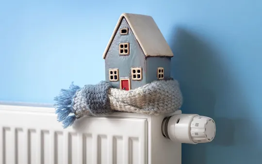 Imagen 4 de la galería