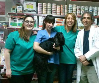 Oftalmología: Servicios de Clínica Veterinaria Ricardo Díez Reyero