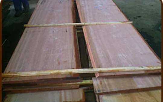 Imagen 7 de la galería